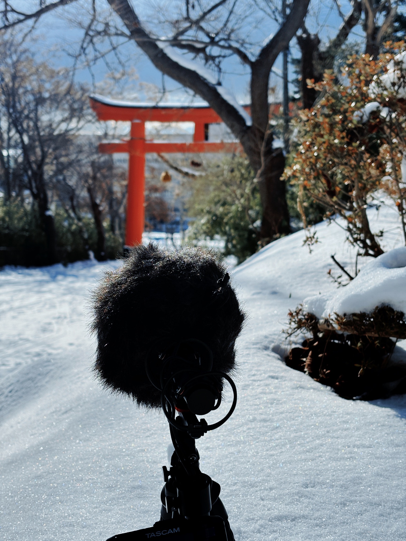 聲景錄音,地點: 日本北海道