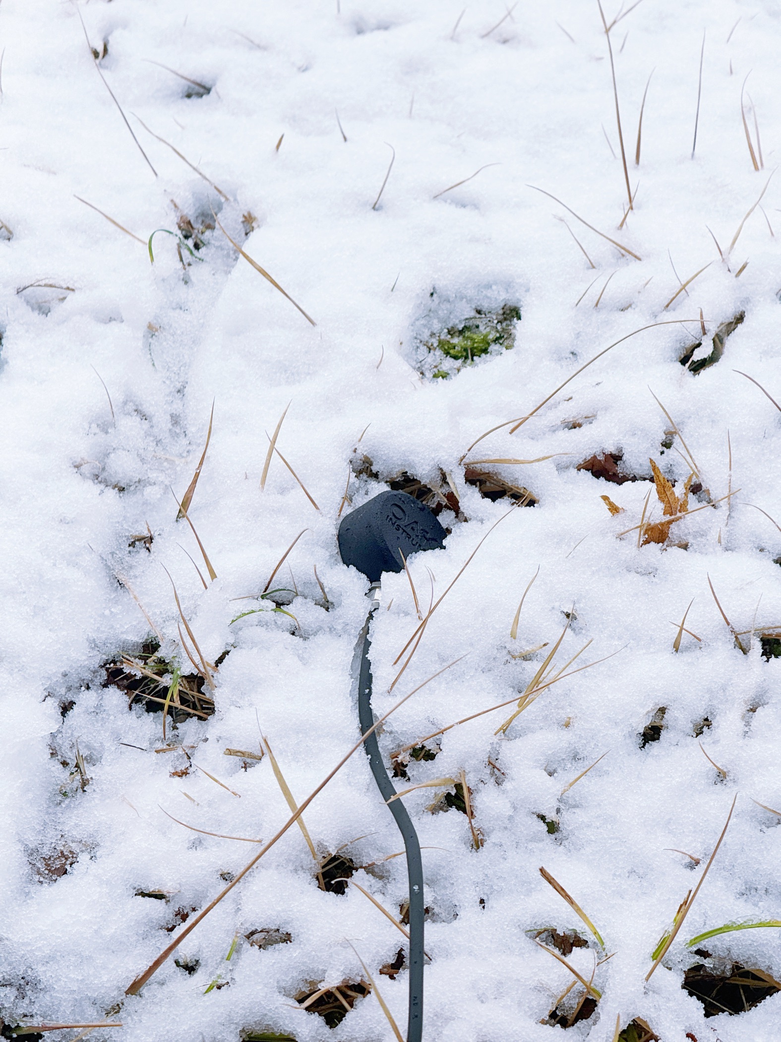 接觸式錄音 / 雪